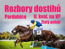 Rozbory dostihů: Pardubice - 21. 6. - II. kvalifikace na VP