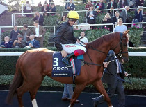 Royal Ascot: Stradivarius chce hattrick v Gold Cupu