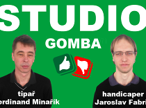 Studio Gomba