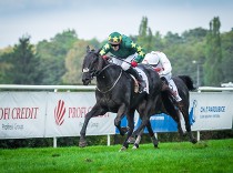 U Tipsportu se na Velkou pardubickou vsadilo 20 milionů