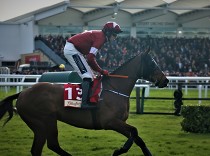 Tiger Roll se o třetí vítězství v Grand National nepokusí