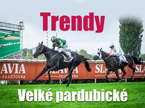 Velká pardubická – trendy posledních 10 ročníků