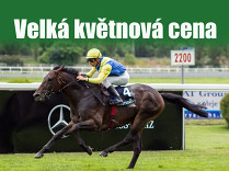 Velká květnová cena