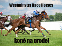 Stáj Westminster nabízí další koně, u ostatních snižuje ceny